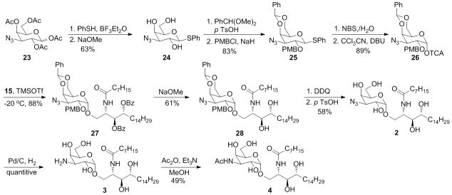 Scheme 2