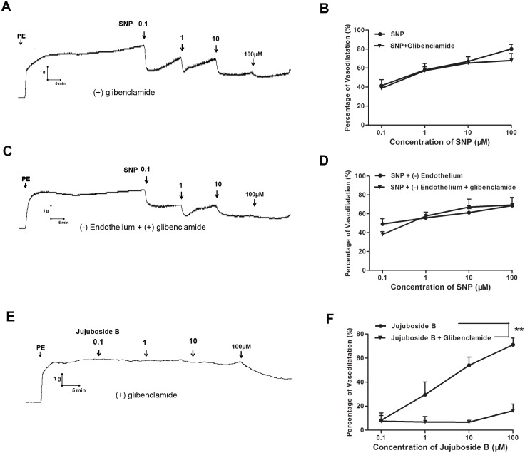 Fig 10