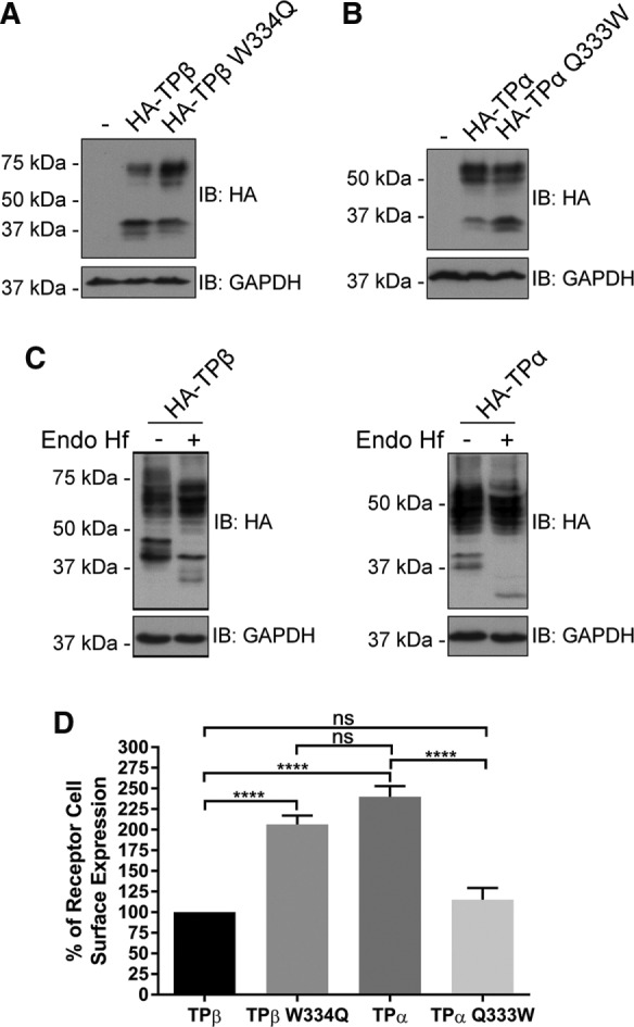 FIGURE 7: