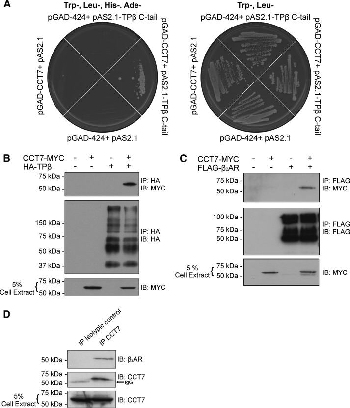 FIGURE 1: