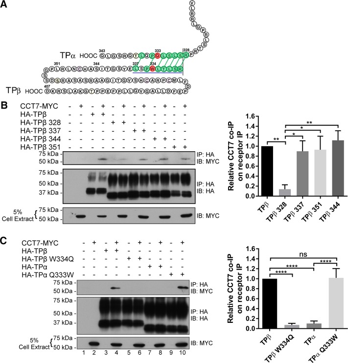 FIGURE 6: