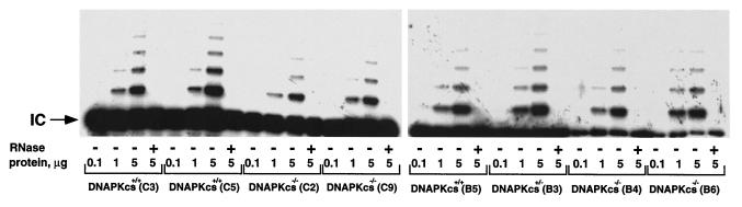 FIG. 6