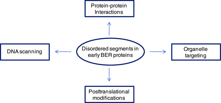 Fig. 6