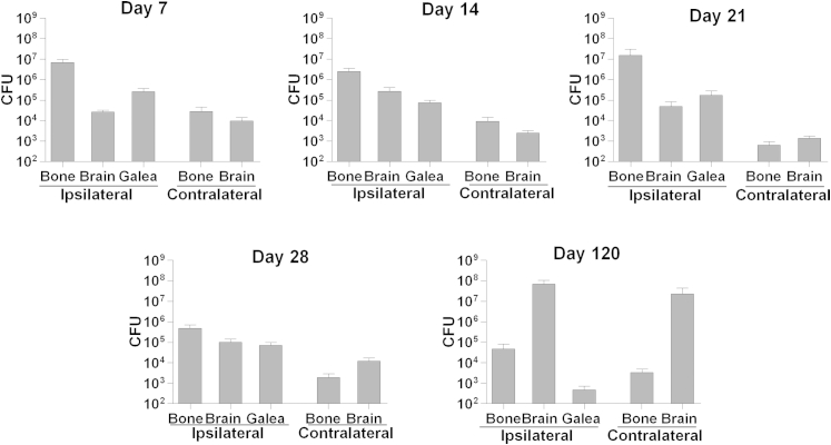 Figure 1