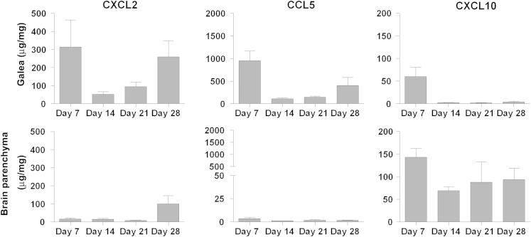 Figure 5