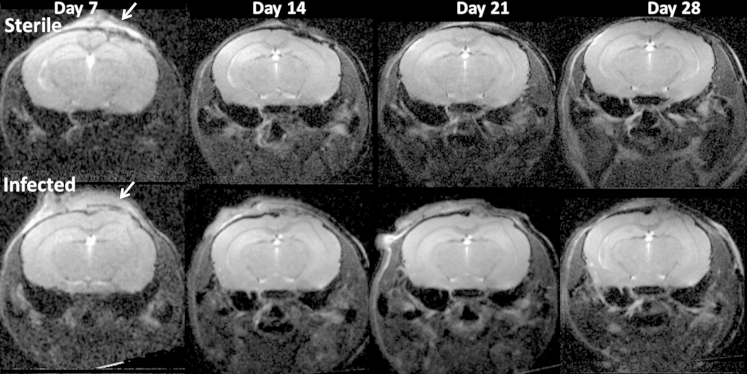 Figure 3