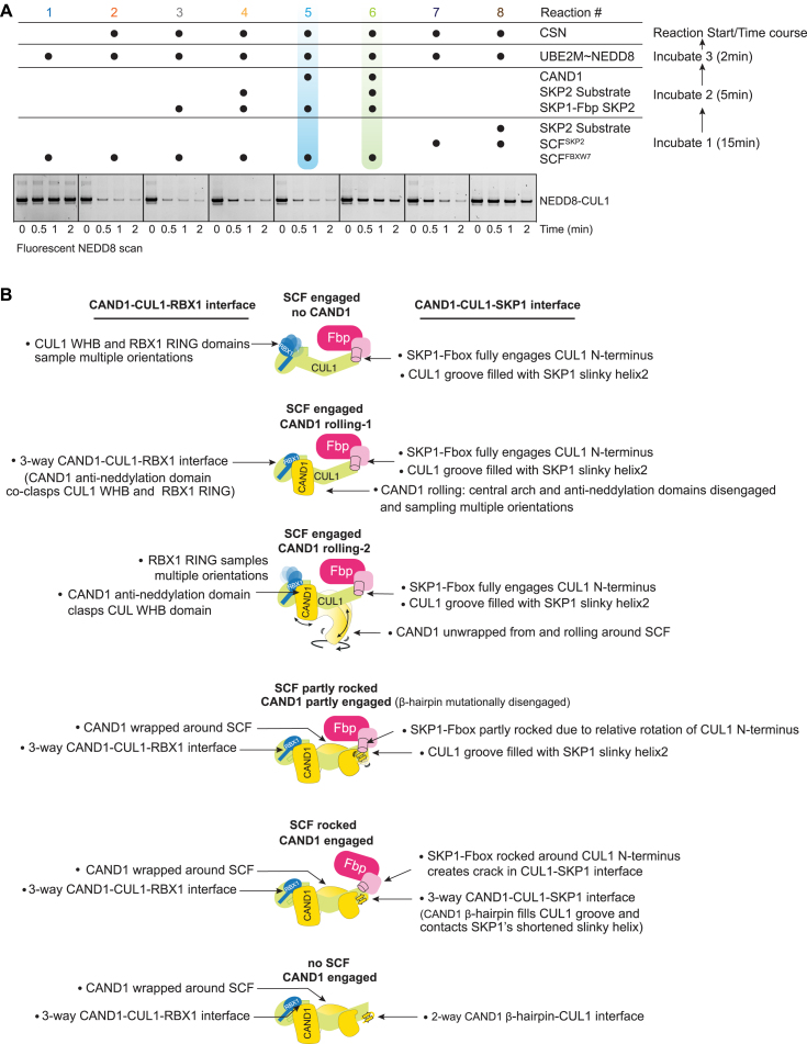 Figure S1