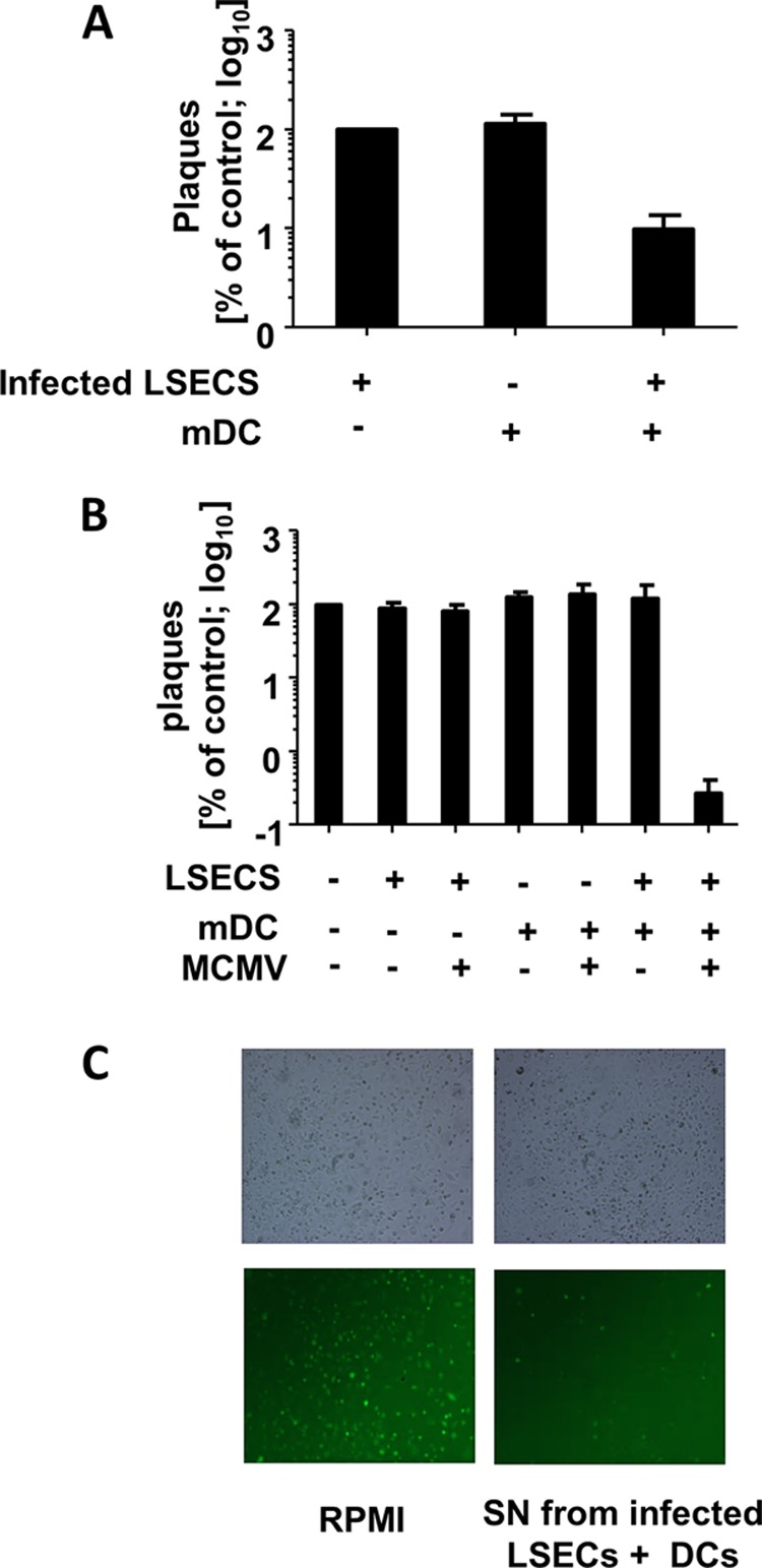 FIG 3