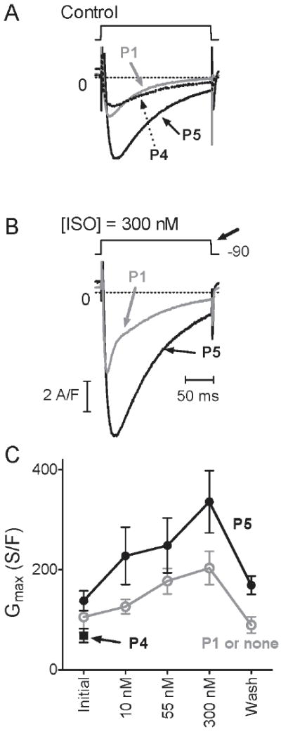 Figure 8