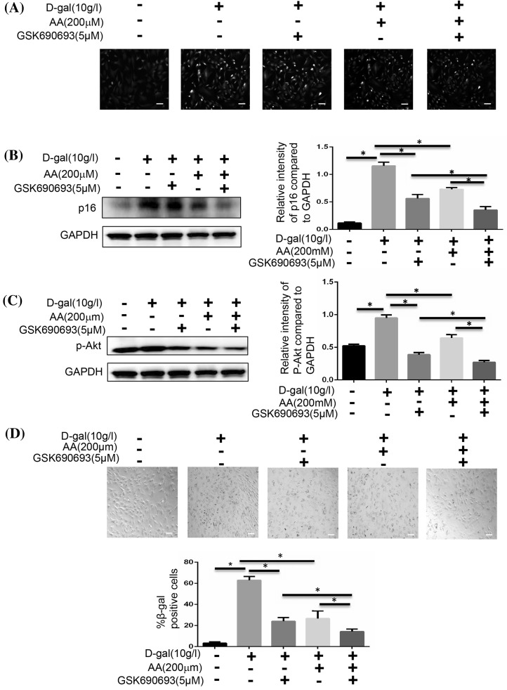 Fig. 7