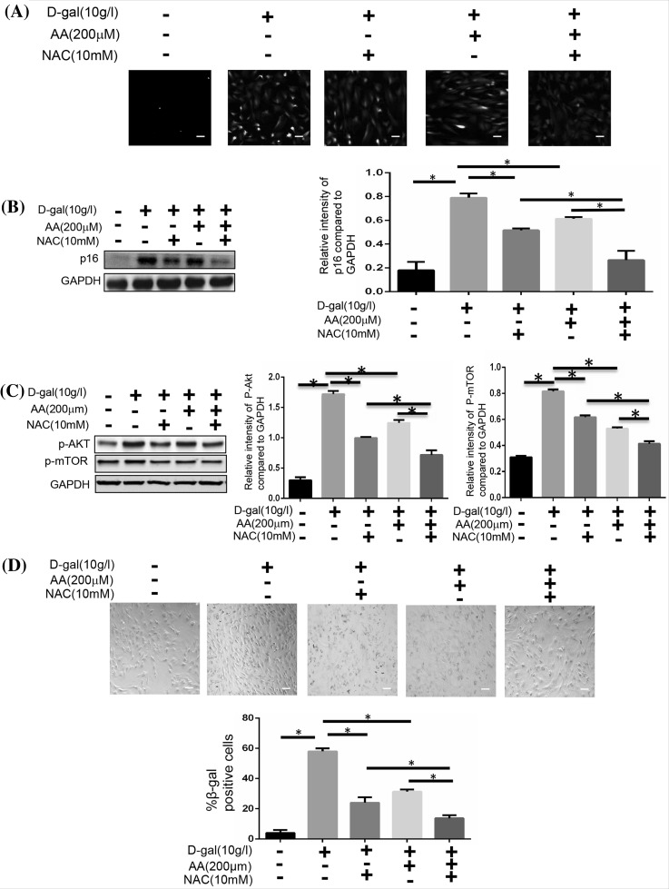 Fig. 6