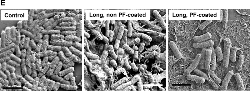 Figure 5: