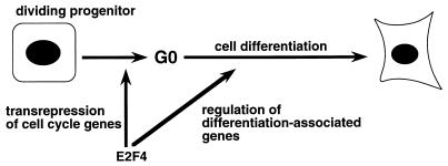 FIG. 8