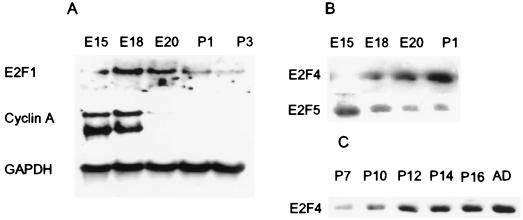 FIG. 7