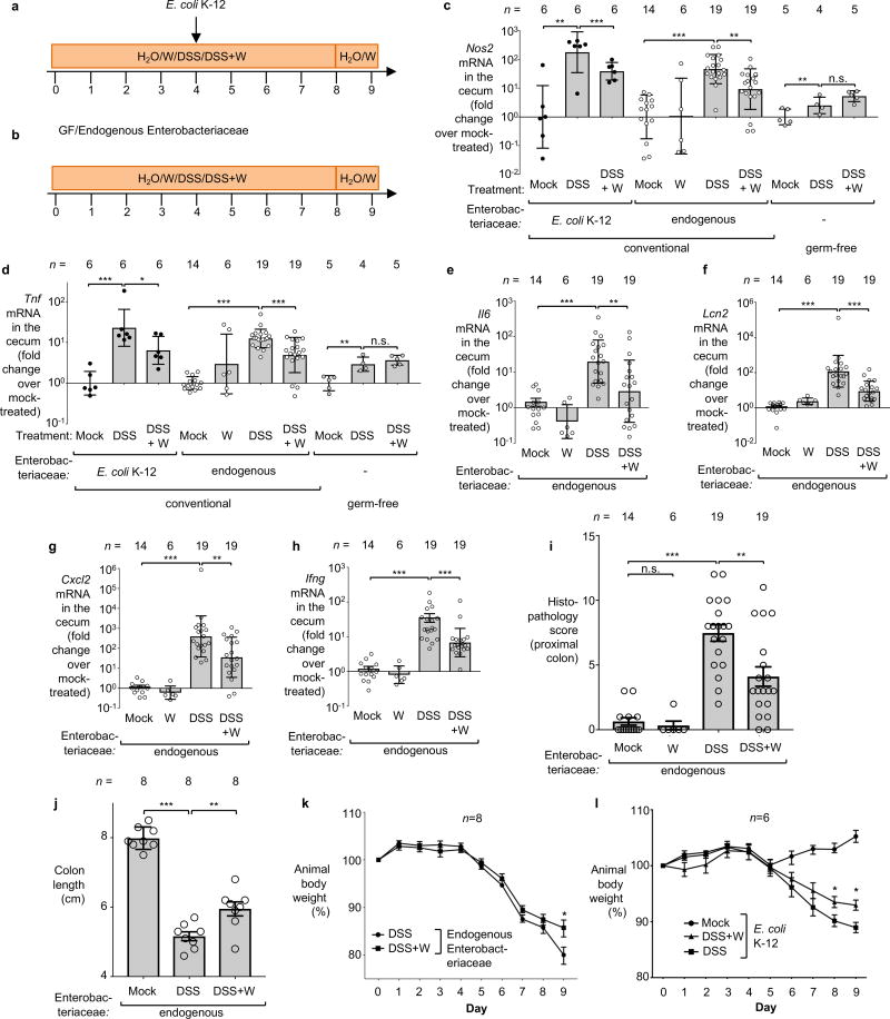 Extended Data Figure 2