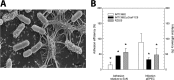FIG 6