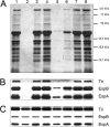FIG 10