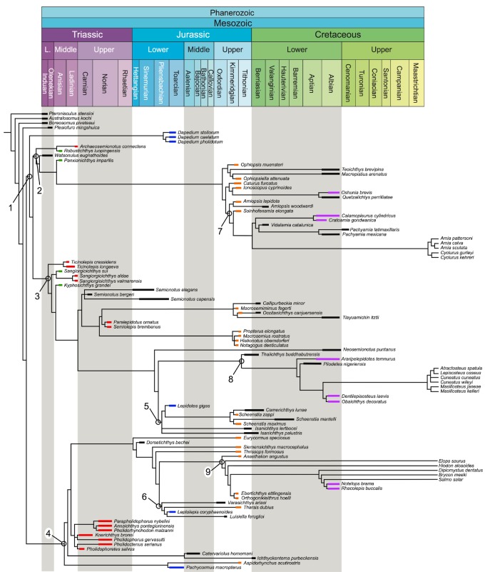 Figure 11.