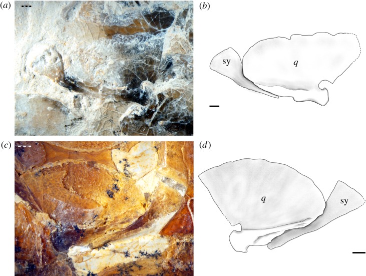 Figure 5.