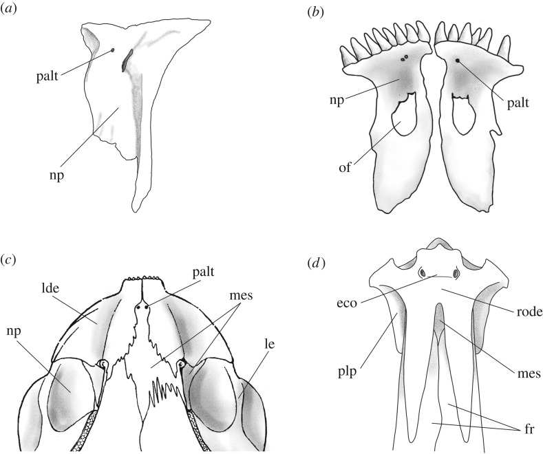 Figure 4.