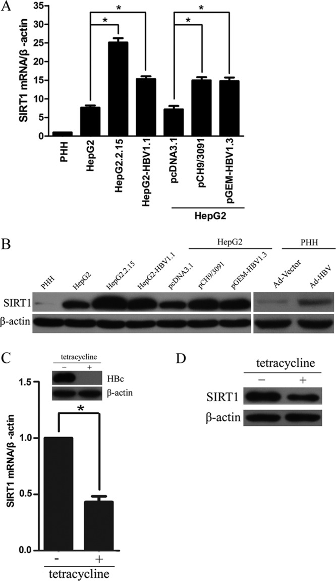 FIG 1