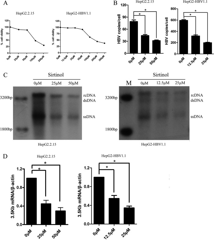 FIG 6