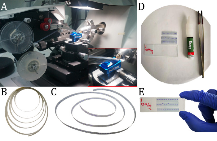 Fig. 2