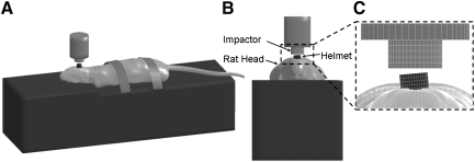 FIG. 3.