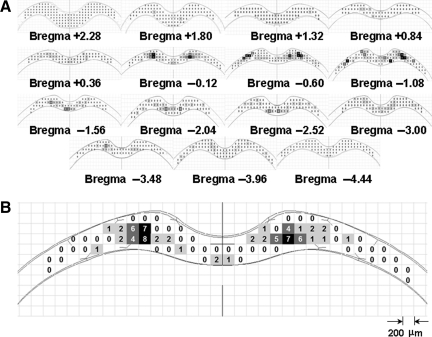 FIG. 9.