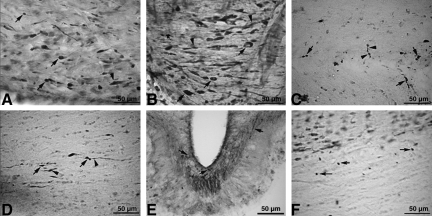 FIG. 8.