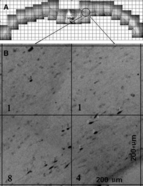 FIG. 7.