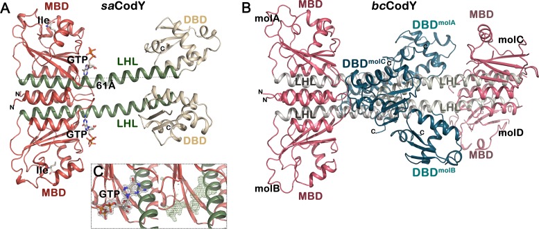 Figure 1.