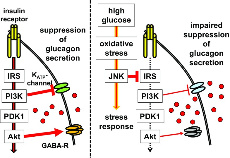 Fig. 3