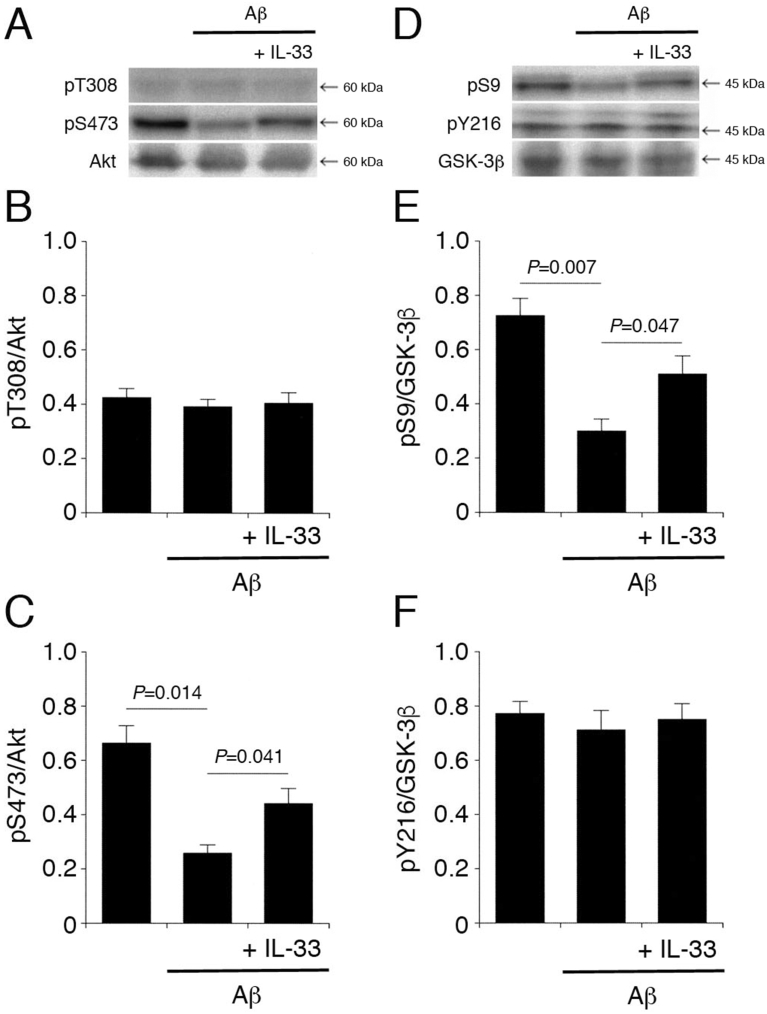 Fig. 11