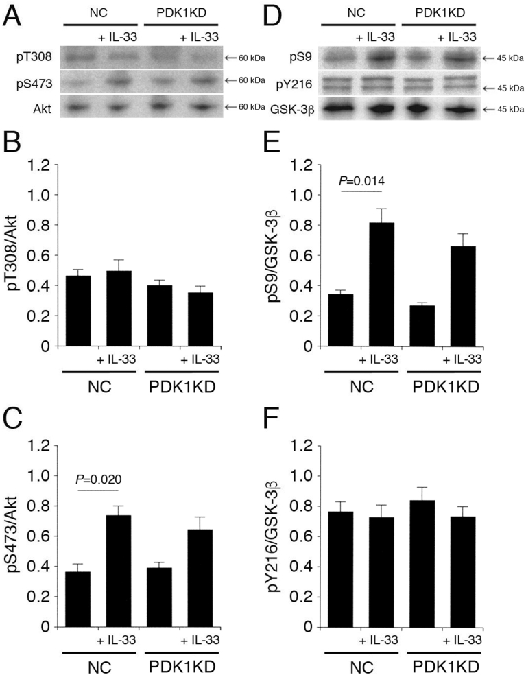 Fig. 10