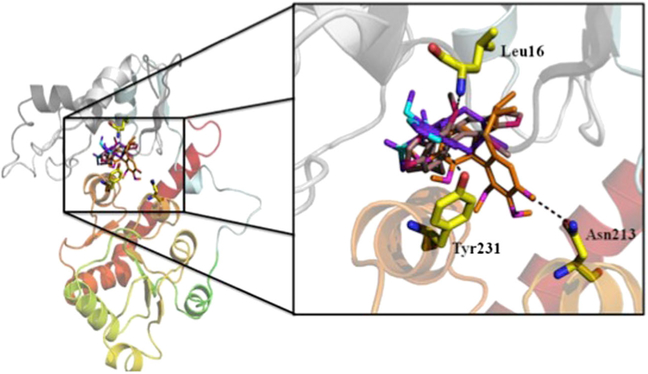 Figure 4.