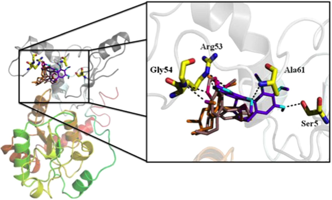 Figure 3.