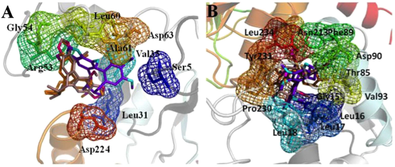 Figure 2.