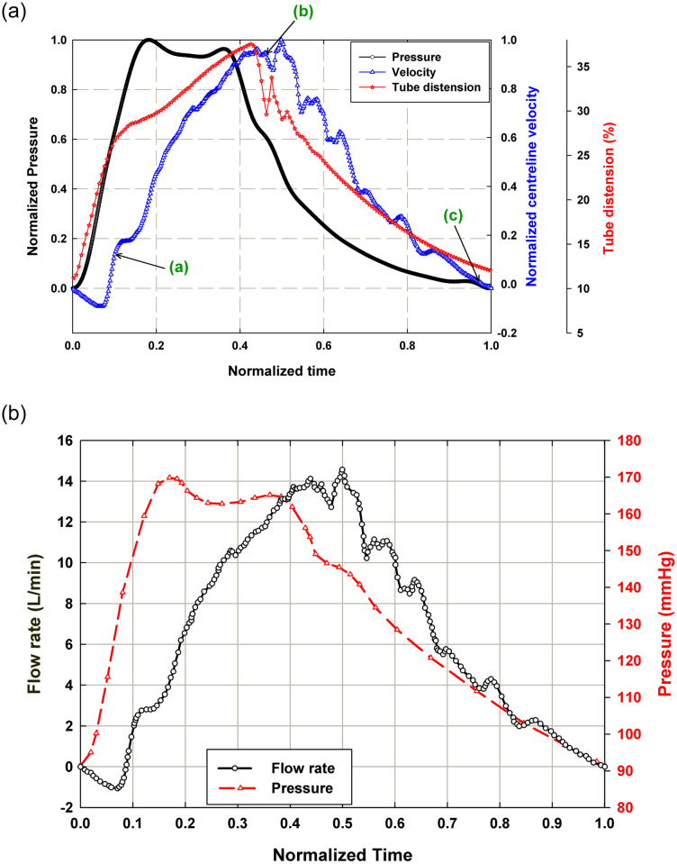 Fig 10