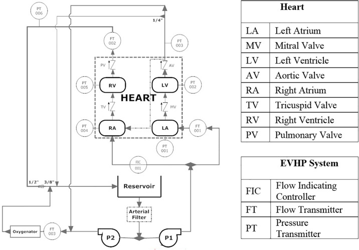 Fig 2