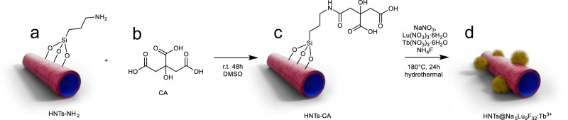 Fig. 1