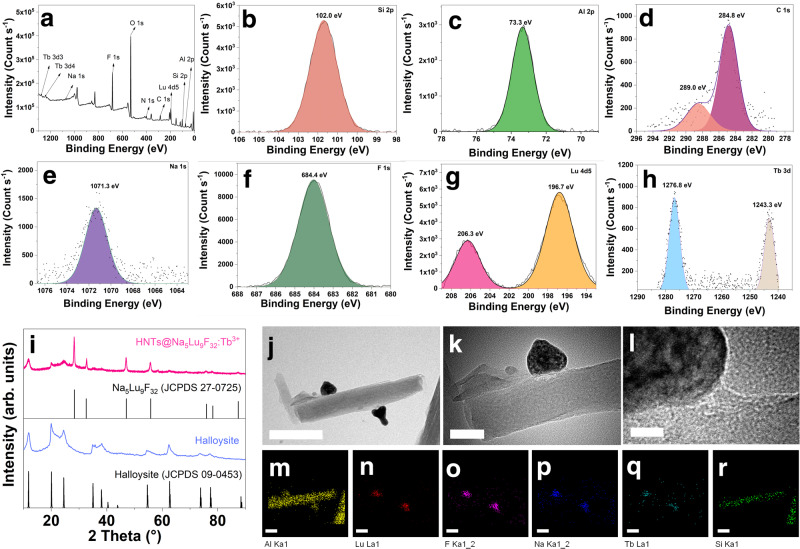 Fig. 2