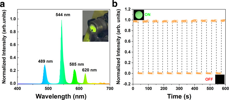 Fig. 3