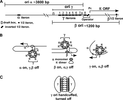 FIGURE 1.