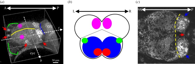 Figure 1.