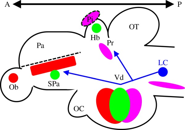 Figure 2.