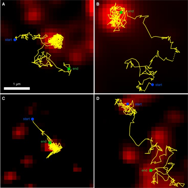 FIGURE 3: