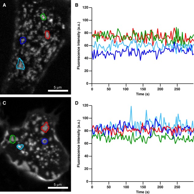 FIGURE 6: