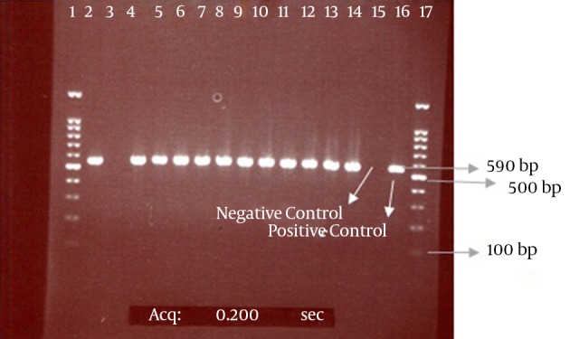 Figure 2.