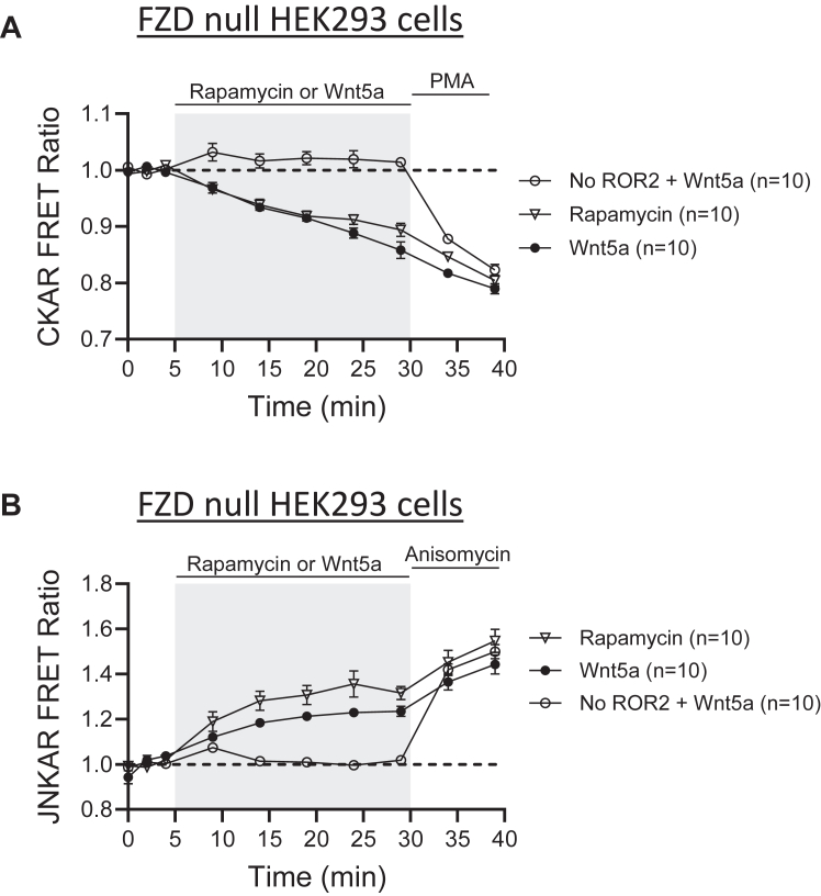 Figure 6